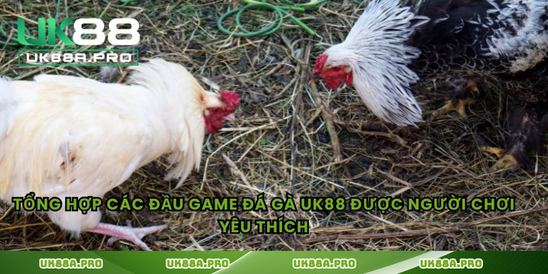 Tổng hợp các đầu game đá gà UK88 được người chơi yêu thích