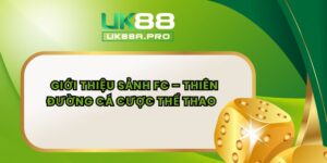 Giới Thiệu Sảnh FC – Thiên Đường Cá Cược Thể Thao  