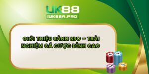 Giới Thiệu Sảnh SBO – Trải Nghiệm Cá Cược Đỉnh Cao 