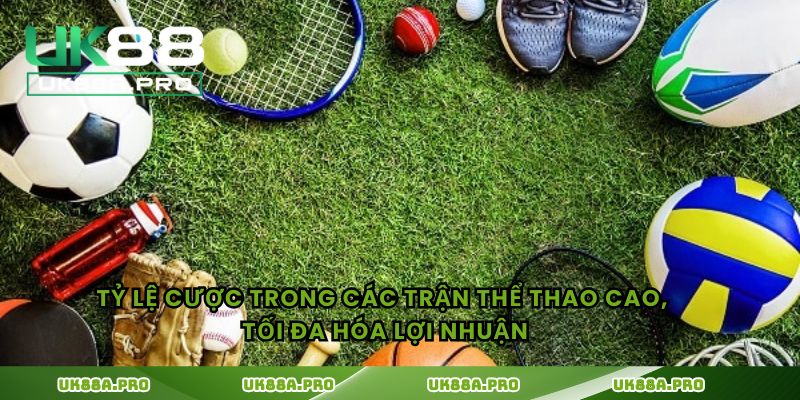 Tỷ lệ cược trong các trận thể thao cao, tối đa hóa lợi nhuận